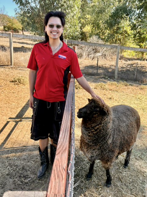 Ensheep