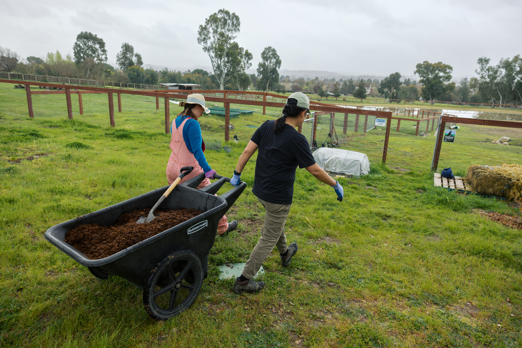 Pulling compost