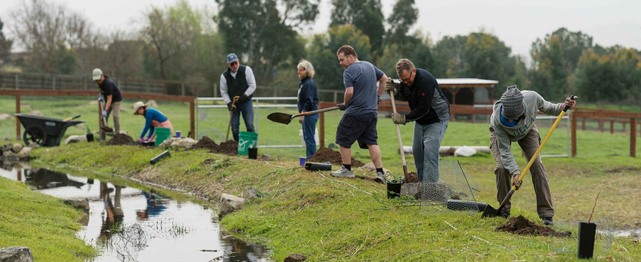 Row of digging